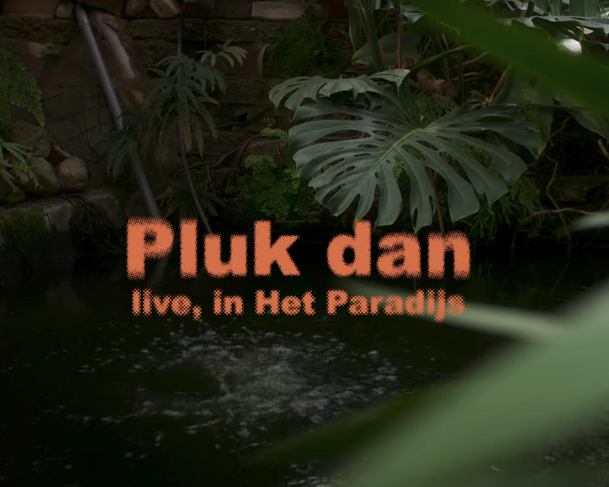 Pluk dan (2025)